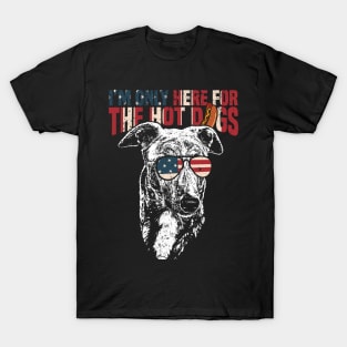 Greyhound Shirt Funny 4th of July Pup Tee T-Shirt